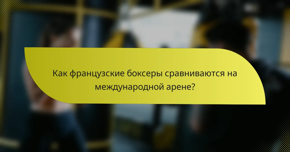 Как французские боксеры сравниваются на международной арене?