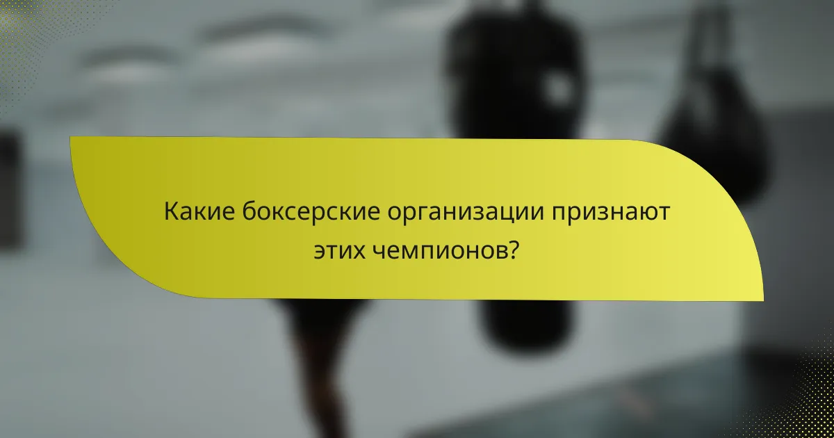 Какие боксерские организации признают этих чемпионов?