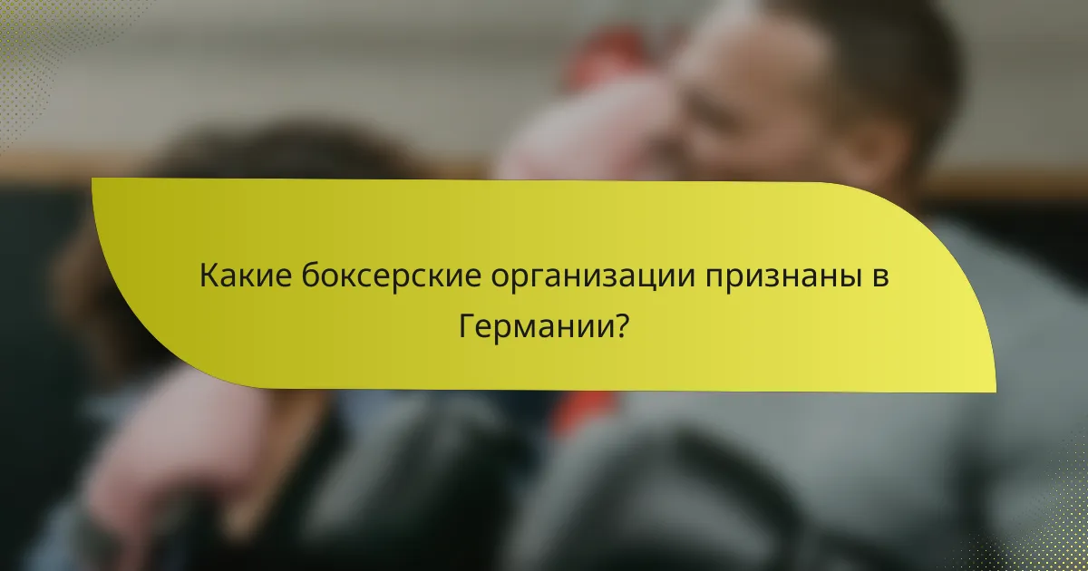 Какие боксерские организации признаны в Германии?