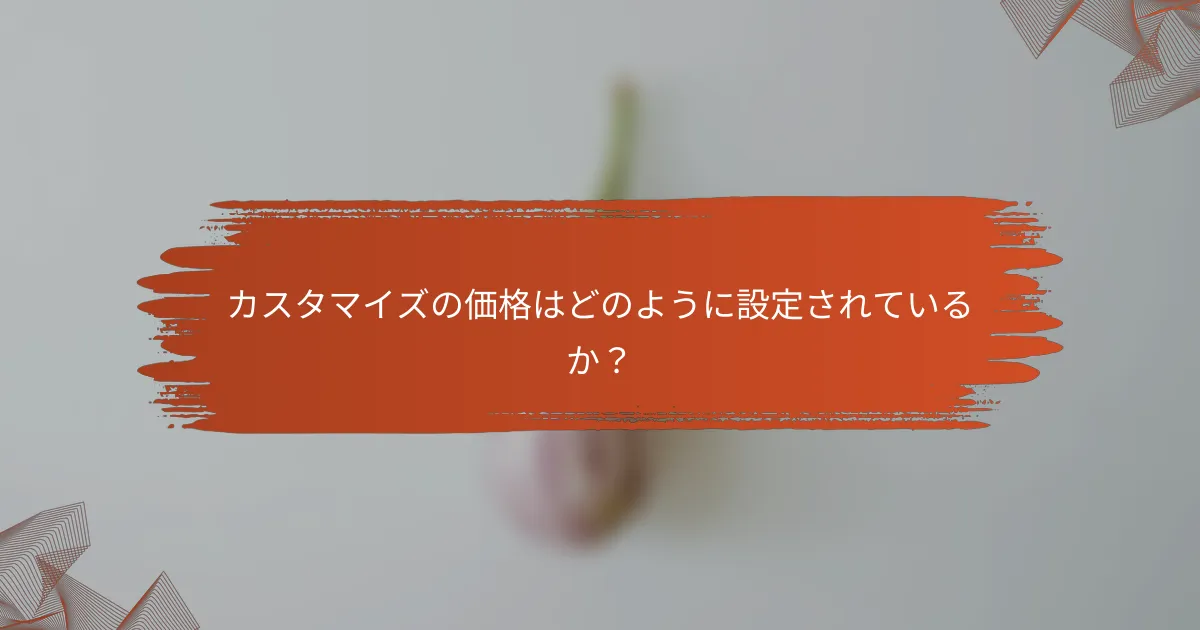 カスタマイズの価格はどのように設定されているか？