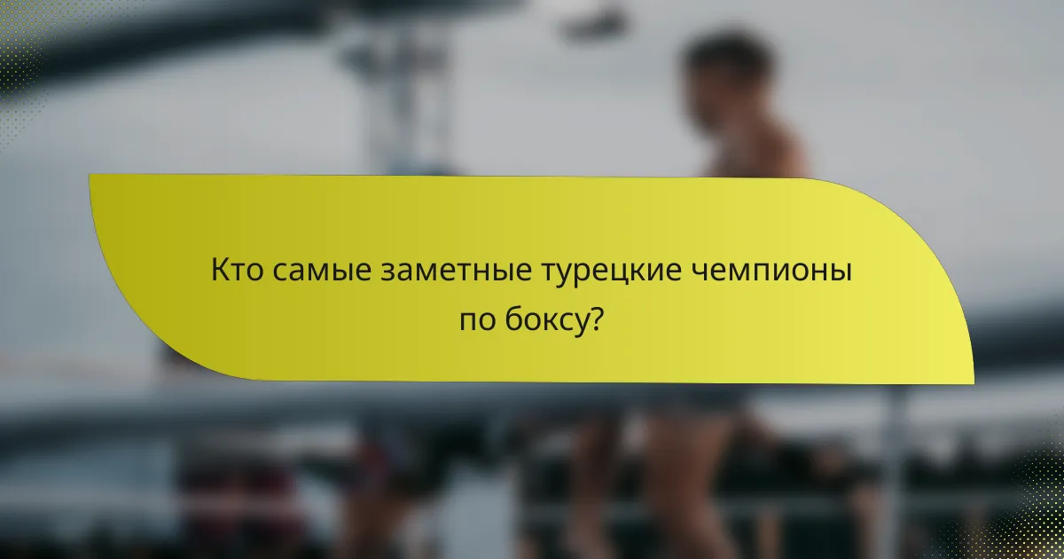 Кто самые заметные турецкие чемпионы по боксу?